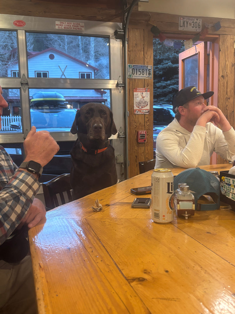 Outpost Newsletter: Issue - 064