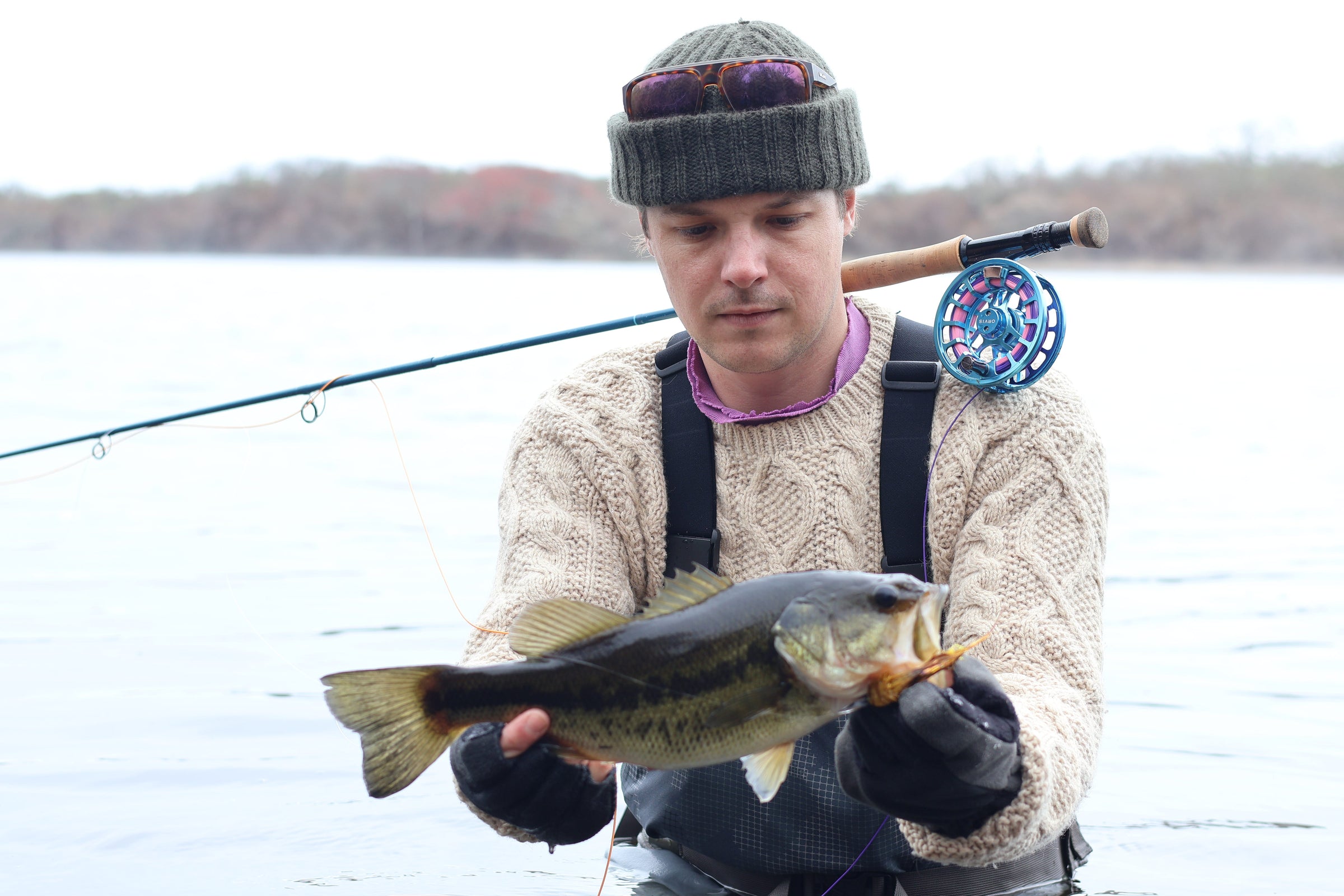 Birthdays, Bass, and the Blues