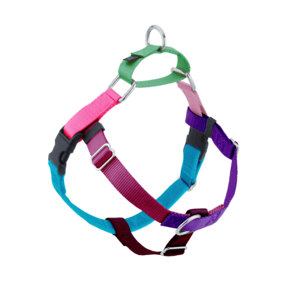 Jellybean Sugar Freedom No-Pull Dog Harness - 2 Hounds Design